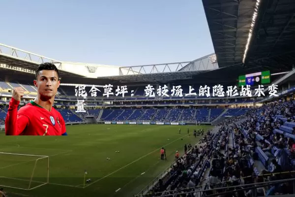 混合草坪:竞技场上的隐形战术变量